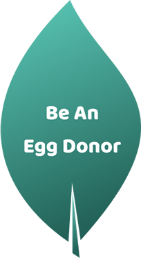 White bold text reading 'Be An Egg Donor' on a green graphic in the shape of an oblong leaf