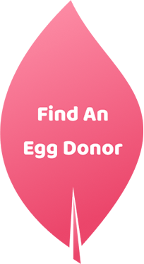 White bold text reading 'Find An Egg Donor' on a pink graphic in the shape of an oblong leaf