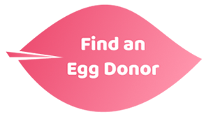 White bold text reading 'Find An Egg Donor' on a pink graphic in the shape of an oblong leaf